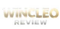 Wincleo Logo 1 removebg preview